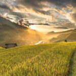 Agriculture